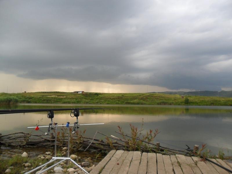 Green Paradise 28 - 30 iun. - sam0746.JPG